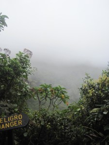 03.13.16N Monteverde