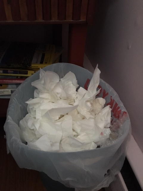 waste-basket-of-tissues