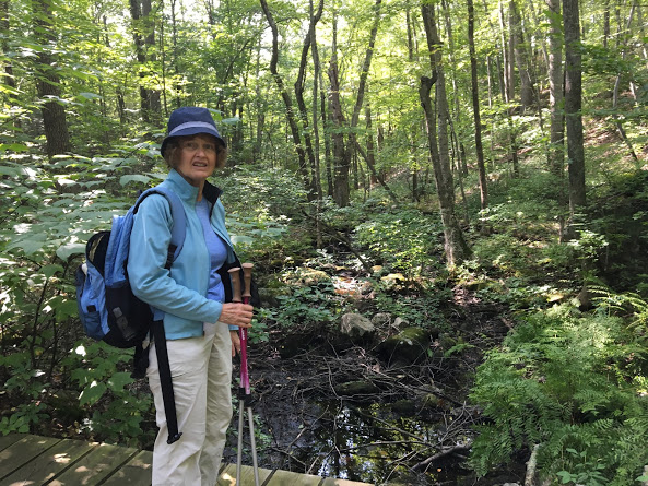 Huntington SP brook 09.11.17