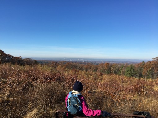 Manchester Case Mt overlook 11.15.17