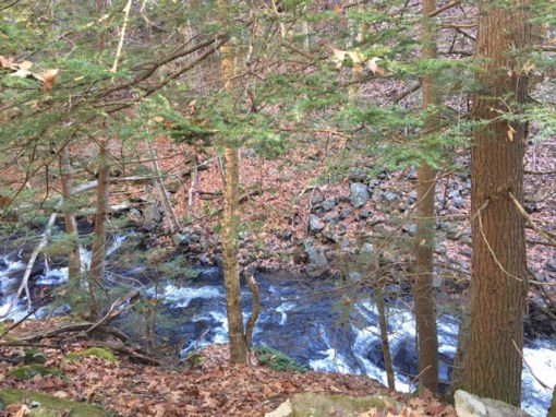 Waterbury hemlock brook 12.07.17