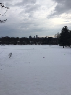 Elizabeth Park sunrise point