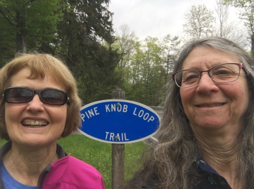 Housatonic Meadows 1