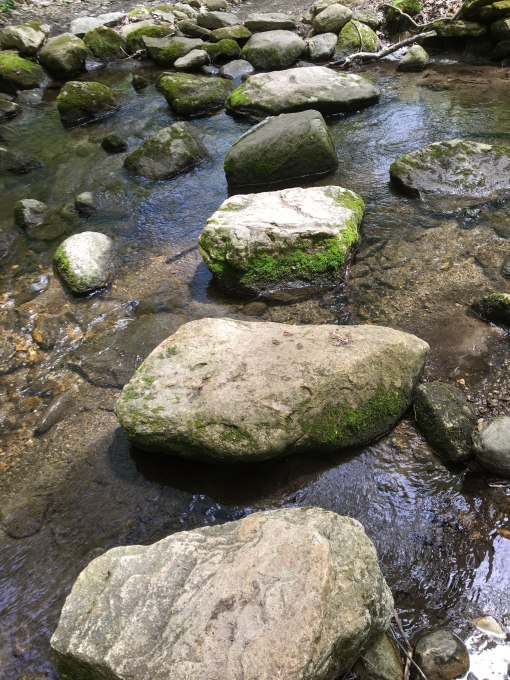 Housatonic Meadows 6