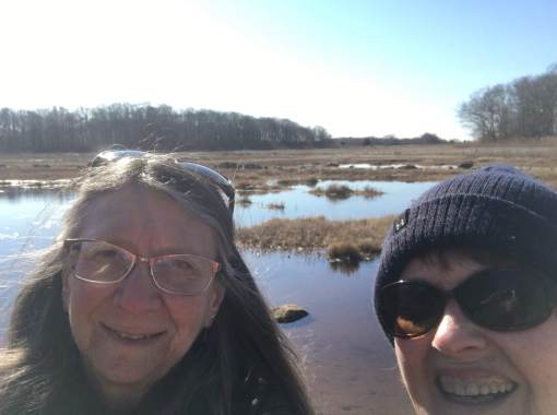 Barn Island Impoundment 2