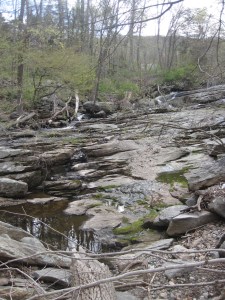 Haddam Reservoir 04.29.13 002