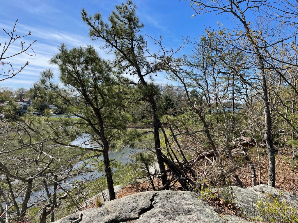 This image has an empty alt attribute; its file name is img_4787.jpg