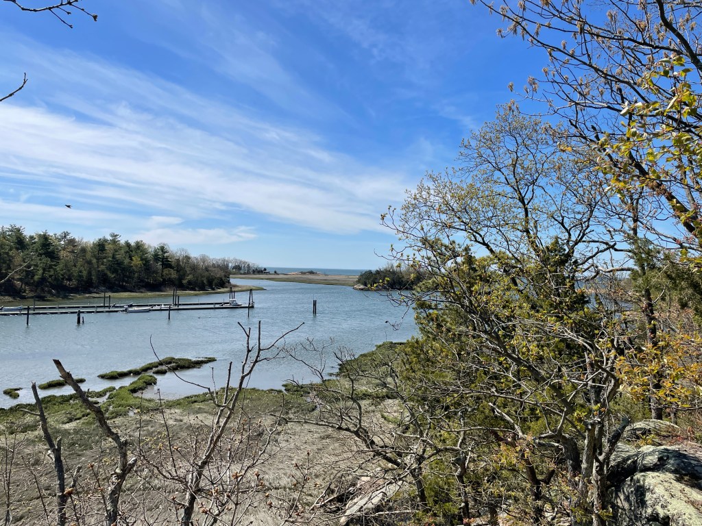 This image has an empty alt attribute; its file name is img_4794.jpg